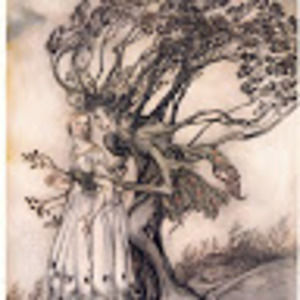 Meet your Posher, Devin